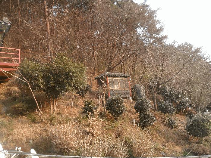 경상남도 창원시 마산합포구 진동면 태봉리 산115-1 임야 경매 사진 8