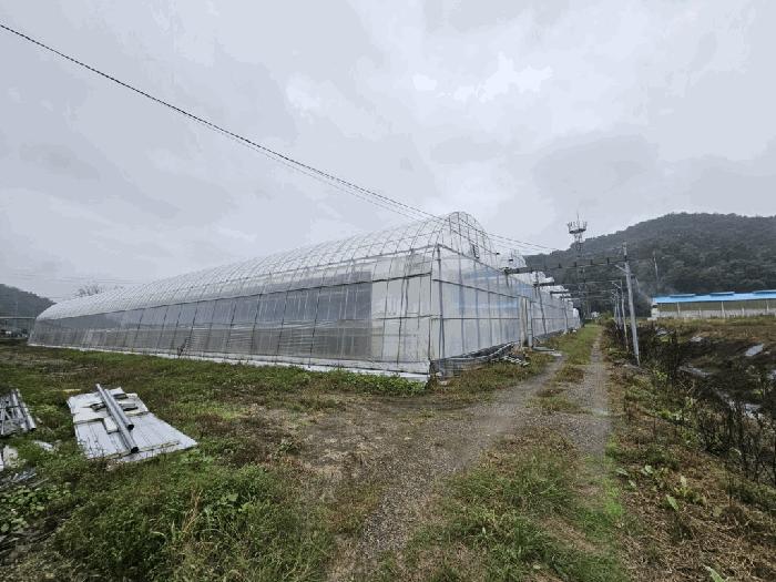 경상남도 함안군 대산면 장암리 448 답 경매 사진 1