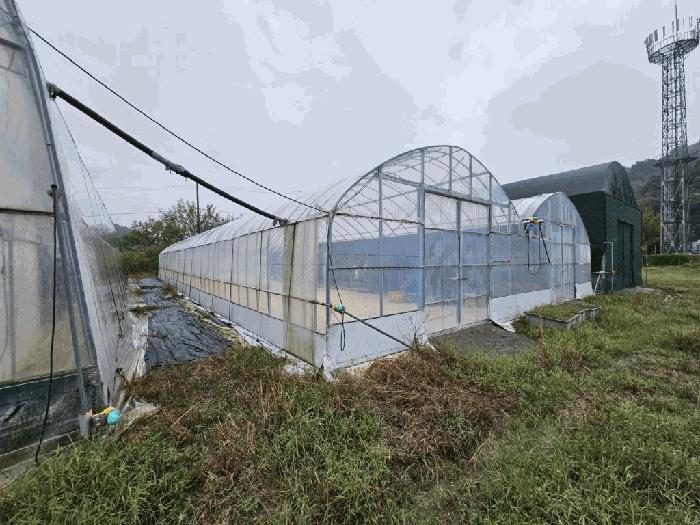 경상남도 함안군 대산면 장암리 449-1 답 경매 사진 3