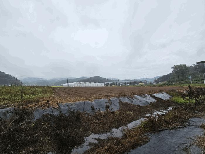 경상남도 함안군 대산면 장암리 449-1 답 경매 사진 7