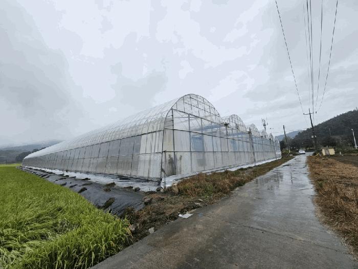 경상남도 함안군 대산면 장암리 84-5 창고 경매 사진 4