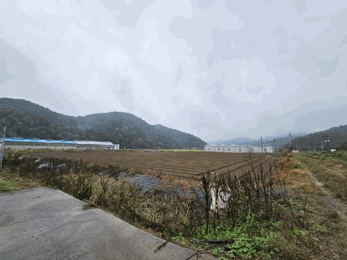 경상남도 함안군 대산면 장암리 84-5 창고 경매 사진 6