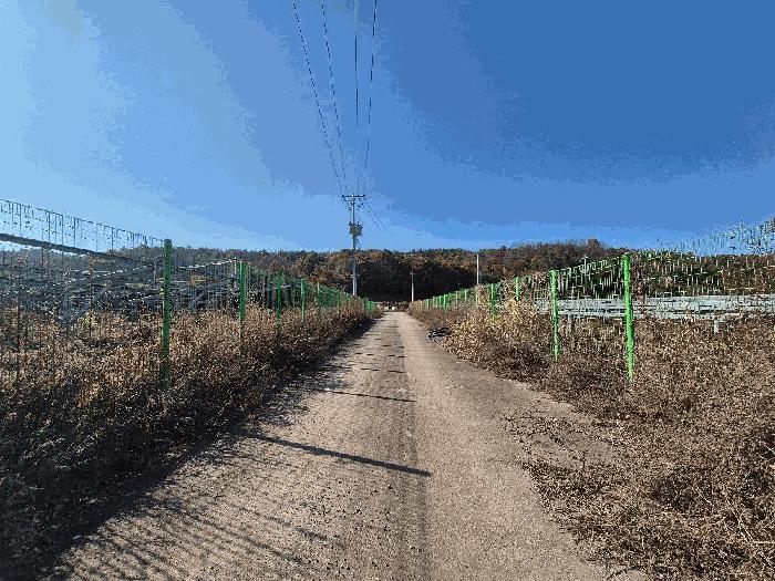 경상남도 함안군 법수면 백산리 516-3 잡종지 경매 사진 10