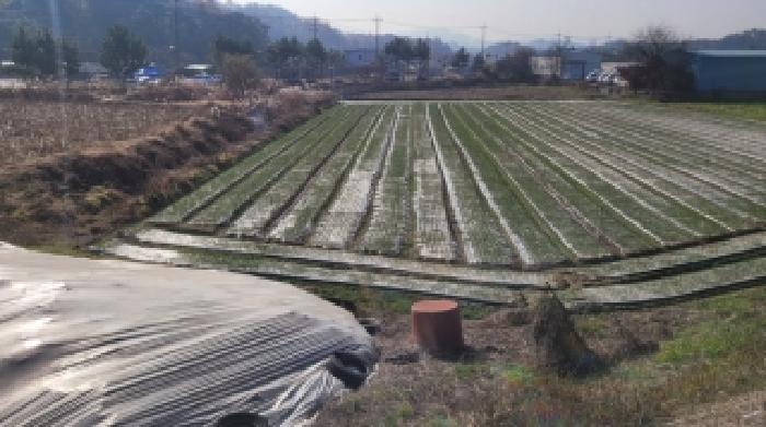 경상남도 함안군 칠서면 용성리 880-9 답 경매 사진 5