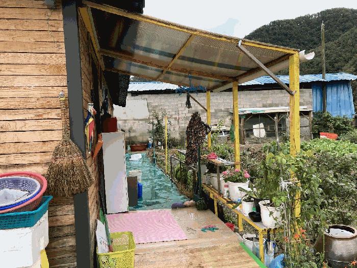 경상남도 함안군 대산면 장암리 757-1 답 경매 사진 12