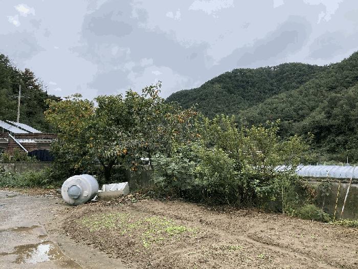 경상남도 함안군 대산면 장암리 757-1 답 경매 사진 18