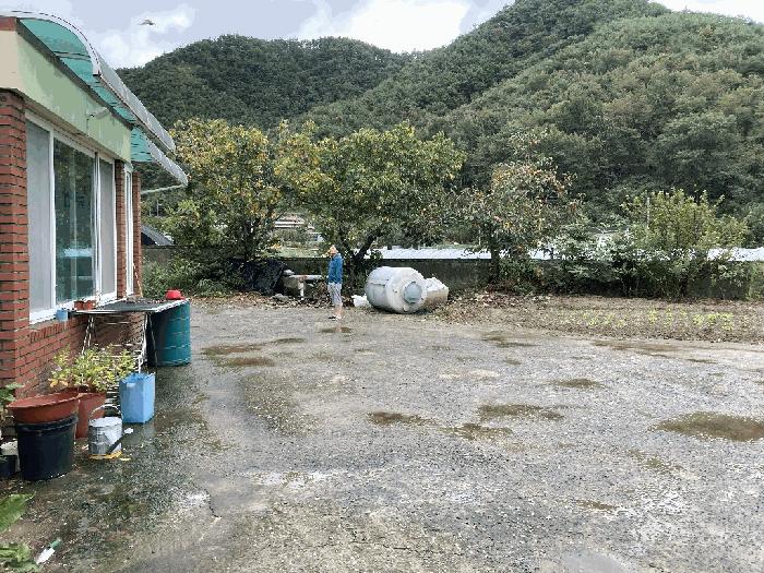 경상남도 함안군 대산면 장암리 757-1 답 경매 사진 8