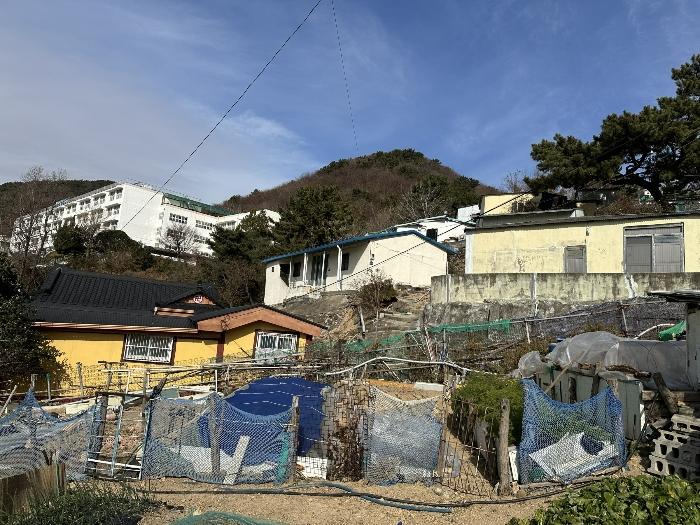 부산광역시 부산진구 부암동 산50-21 임야 경매 사진 4