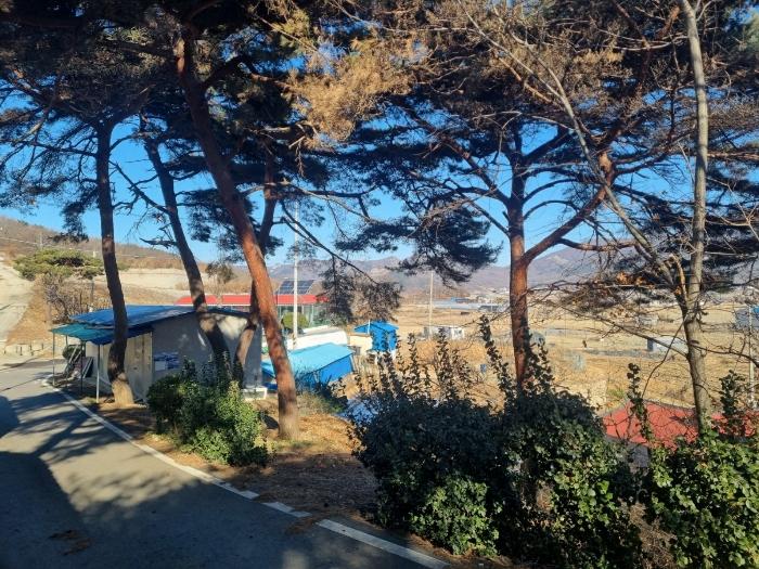 인천광역시 강화군 삼산면 매음리 939-1 임야 경매 사진 1