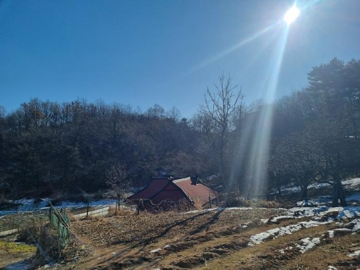 인천광역시 강화군 삼산면 매음리 939-1 임야 경매 사진 5