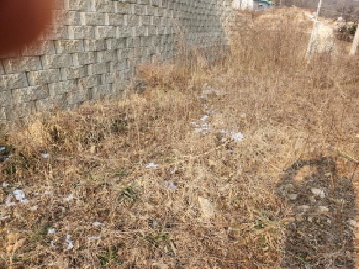 인천광역시 강화군 삼산면 매음리 939-1 임야 경매 사진 7