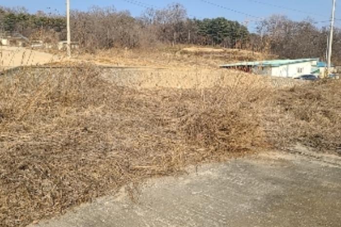 인천광역시 강화군 선원면 창리 631-9 답 경매 사진 15