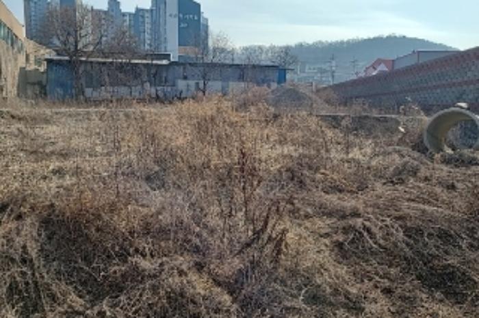 인천광역시 강화군 선원면 창리 631-9 답 경매 사진 19