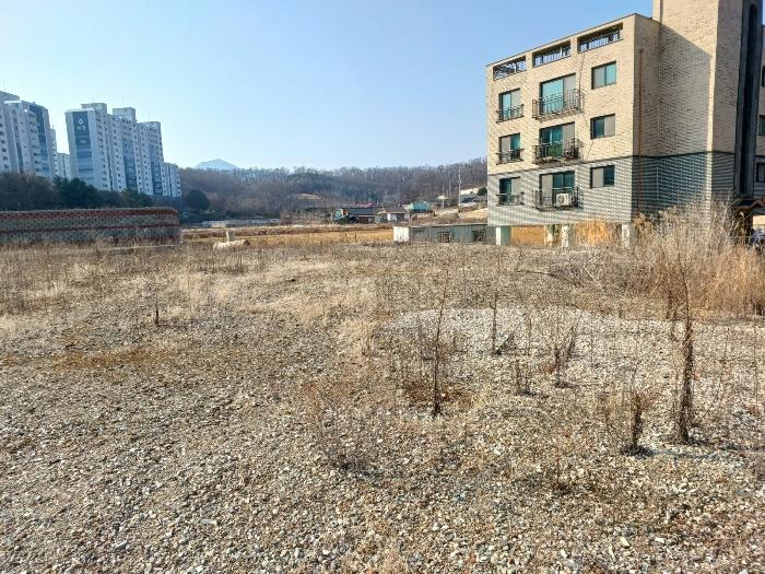 인천광역시 강화군 선원면 창리 631-9 답 경매 사진 3