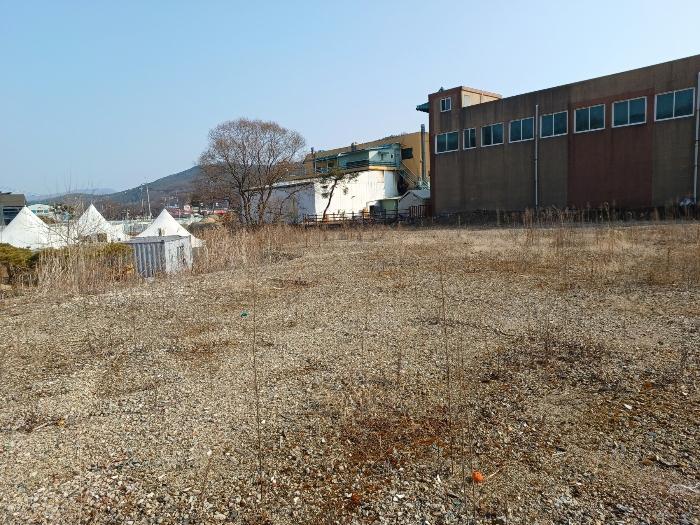 인천광역시 강화군 선원면 창리 631-9 답 경매 사진 7