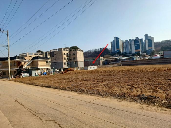인천광역시 강화군 선원면 창리 631-9 답 경매 사진 8
