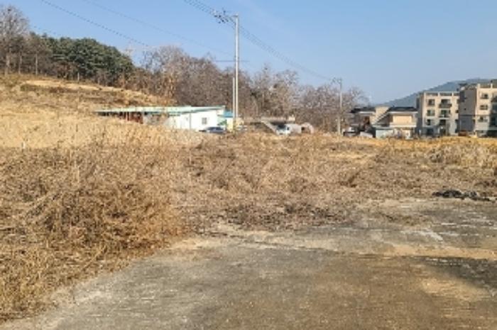 인천광역시 강화군 선원면 창리 637-2 전 경매 사진 14