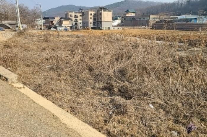 인천광역시 강화군 선원면 창리 637-2 전 경매 사진 16