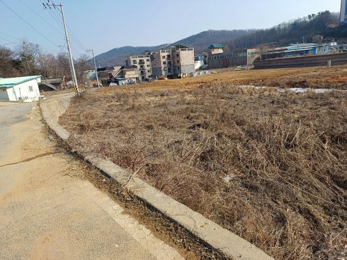 인천광역시 강화군 선원면 창리 637-2 전 경매 사진 2