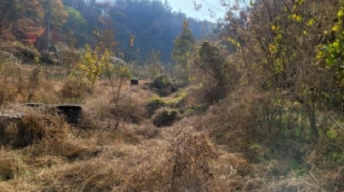 경상남도 함안군 칠원읍 오곡리 535 전 경매 사진 10