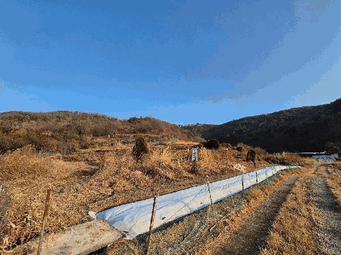 경상남도 함안군 대산면 장암리 43-2 전 경매 사진 1