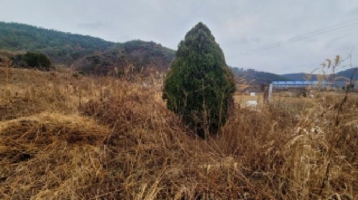 경상남도 함안군 대산면 장암리 43-2 전 경매 사진 11