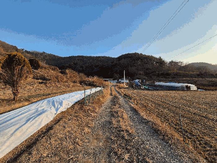 경상남도 함안군 대산면 장암리 43-2 전 경매 사진 5