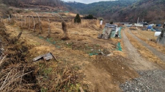 경상남도 함안군 대산면 장암리 43-2 전 경매 사진 8