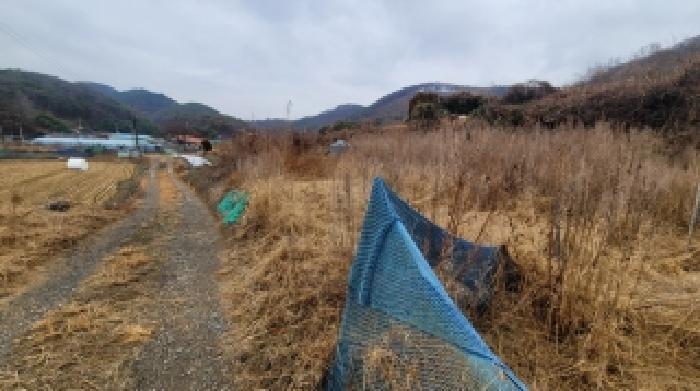 경상남도 함안군 대산면 장암리 43-2 전 경매 사진 9