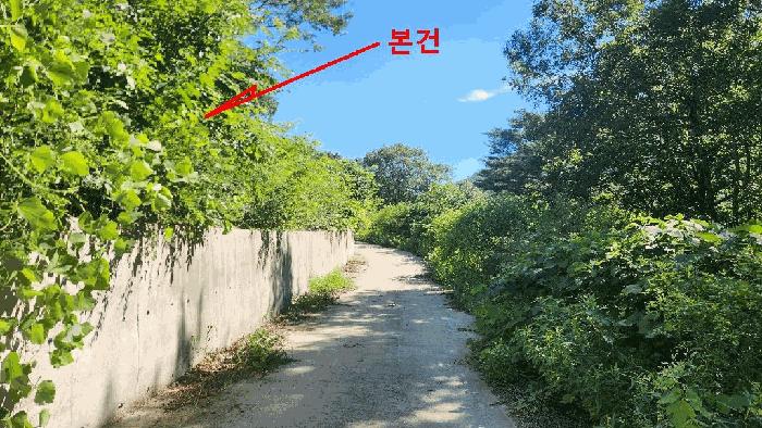 울산광역시 울주군 상북면 소호리 234-8 임야 경매 사진 2