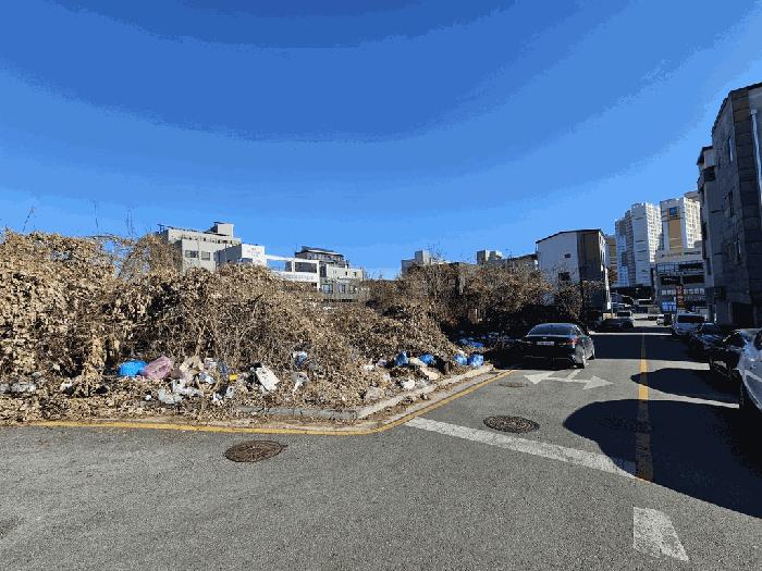 광주 광산구 대지
