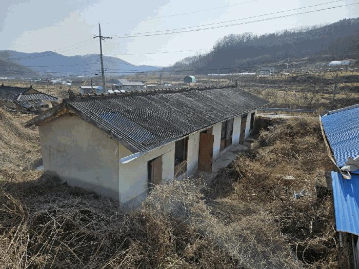 경상북도 김천시 덕곡동 1139-4 상가 경매 사진 8