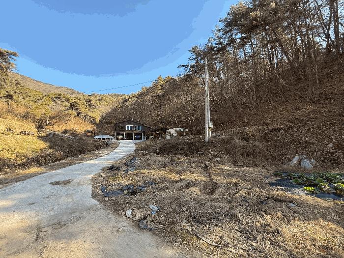 전라남도 화순군 백아면 방리 산110-3 임야 경매 사진 4