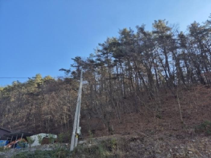 전라남도 화순군 백아면 방리 산110-3 임야 경매 사진 5