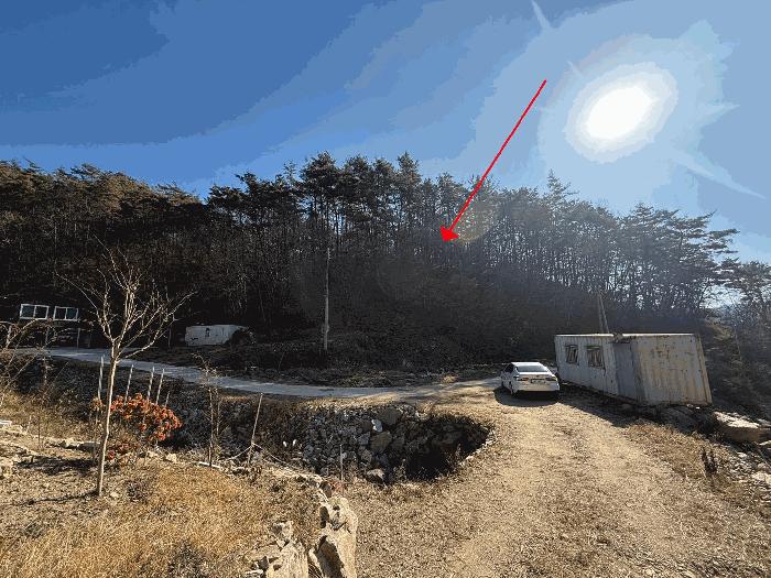 전라남도 화순군 백아면 방리 산110-3 임야 경매 사진 7