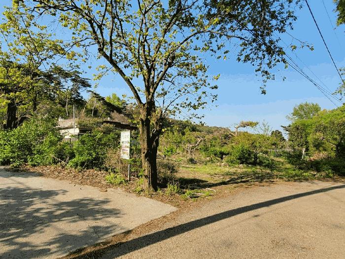 울산광역시 북구 신현동 885 주택 경매 사진 12