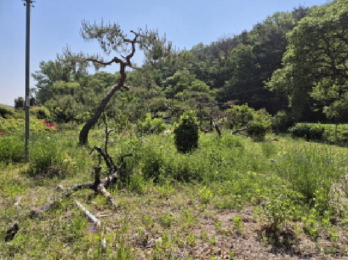 울산광역시 북구 신현동 885 주택 경매 사진 18