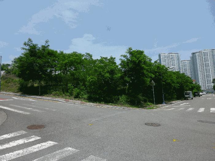 울산 북구 대지
