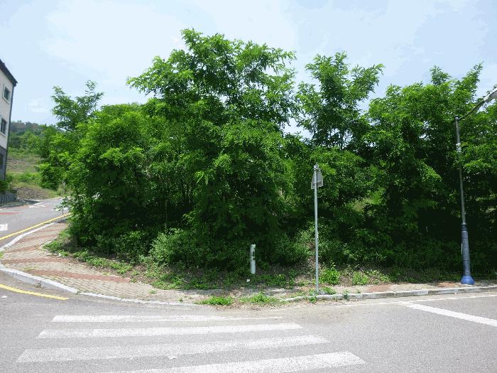 울산광역시 북구 산하동 987-9 대지 경매 사진 2