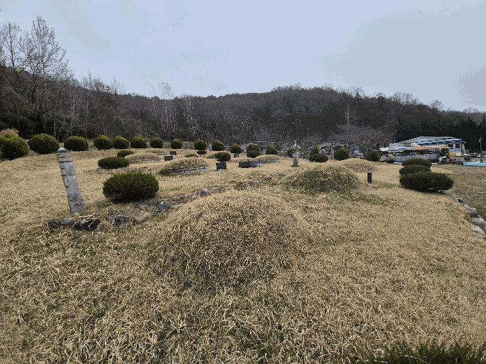 전라남도 담양군 창평면 유곡리 248 전 경매 사진 4