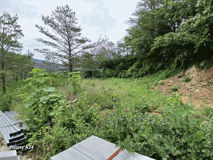전라남도 담양군 가사문학면 만월리 산39-4 임야 경매 사진 16