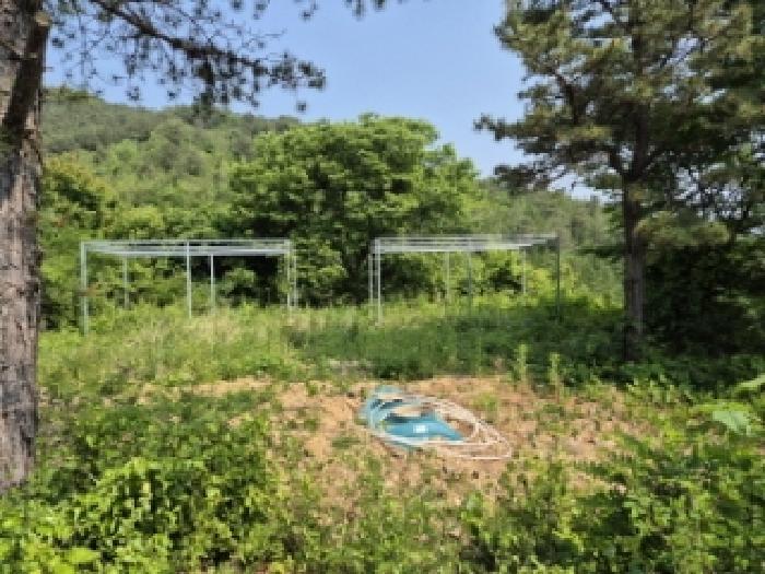 전라남도 담양군 가사문학면 만월리 산39-4 임야 경매 사진 29