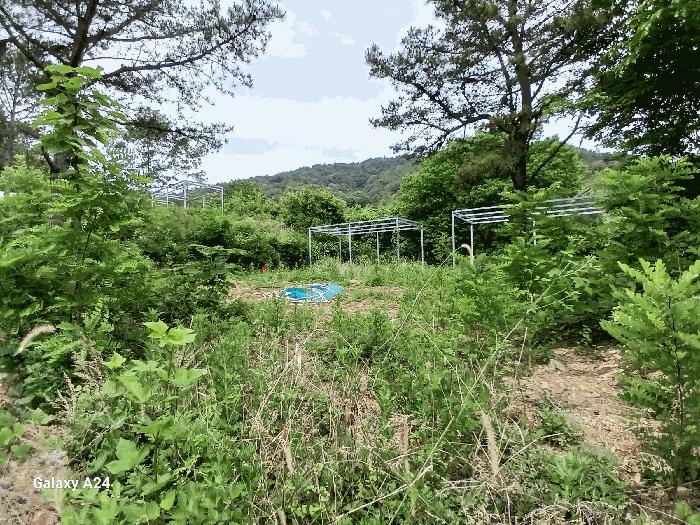 전라남도 담양군 가사문학면 만월리 산39-4 임야 경매 사진 3