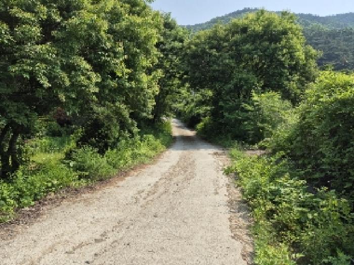 전라남도 담양군 가사문학면 만월리 산39-4 임야 경매 사진 31