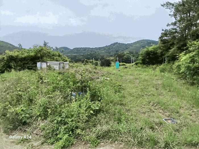 전라남도 담양군 가사문학면 만월리 산39-4 임야 경매 사진 8