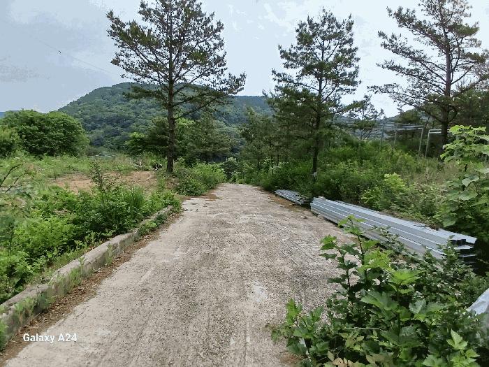 전라남도 담양군 가사문학면 만월리 산39-4 임야 경매 사진 9
