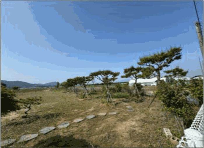 광주광역시 서구 벽진동 628-9 답 경매 사진 2