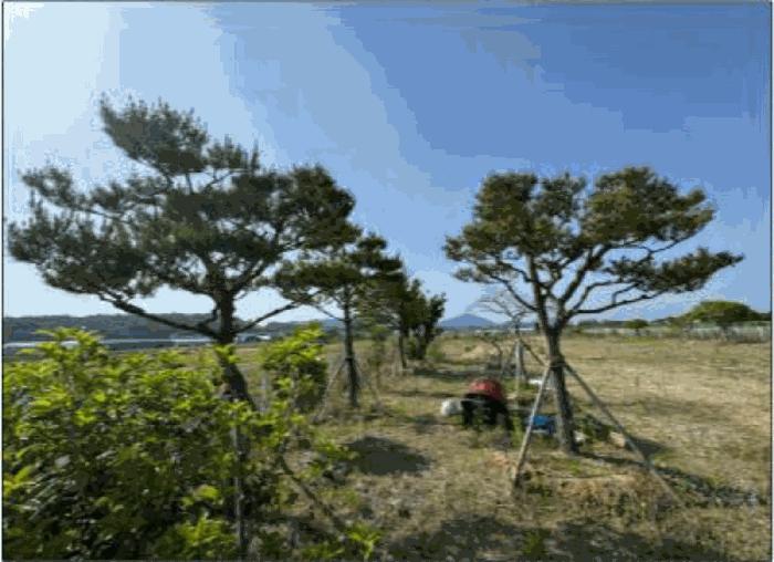 광주광역시 서구 벽진동 628-9 답 경매 사진 5