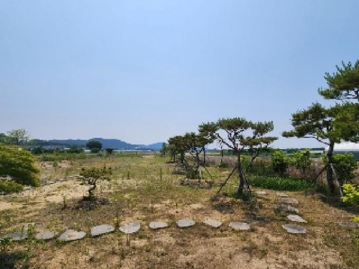 광주광역시 서구 벽진동 628-9 답 경매 사진 8