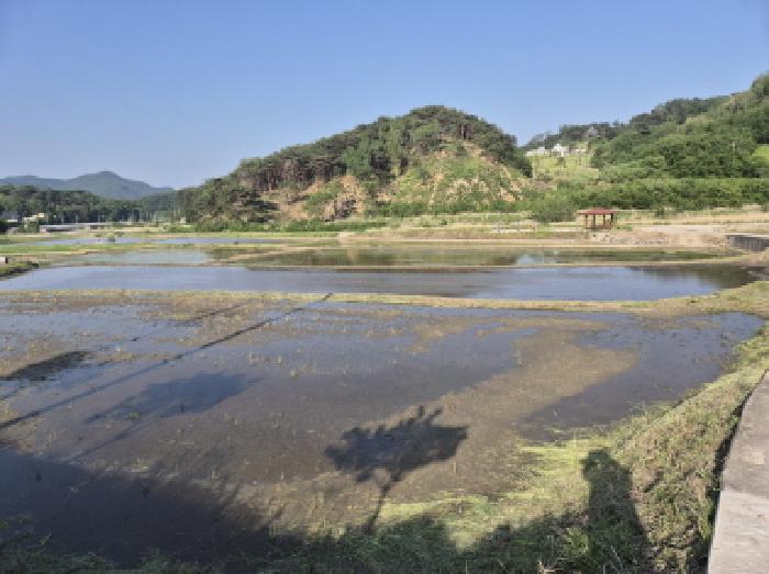 경상북도 울진군 온정면 온정리 384 전 경매 사진 6